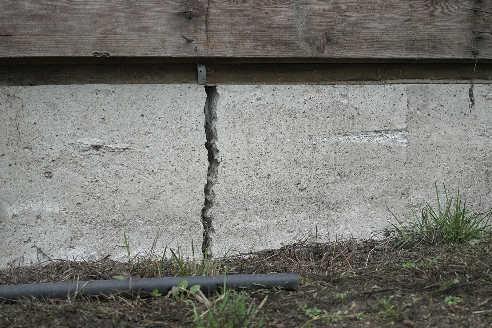 A vertical crack running the full height of a poured concrete foundation wall, seen from outside